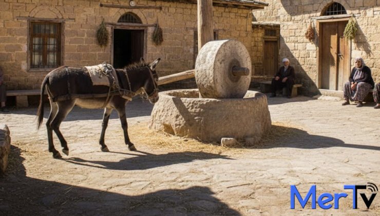 İslahiye’nin Kaybolan Kültürü: “Devlüp Taşı” Artık Sadece Hatıralarda