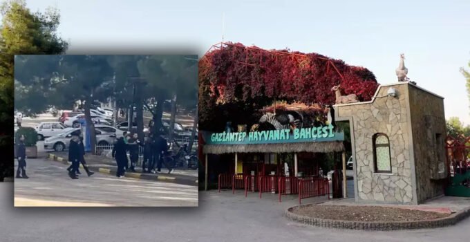 Gaziantep’te gerginlik! Hayvanat Bahçesi Önünde Büyük Kavga