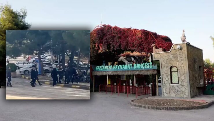 Gaziantep’te gerginlik! Hayvanat Bahçesi Önünde Büyük Kavga