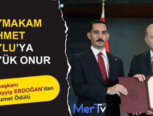 Kaymakam Soylu’ya Cumhurbaşkanı Erdoğan’dan Üstün Hizmet Ödülü