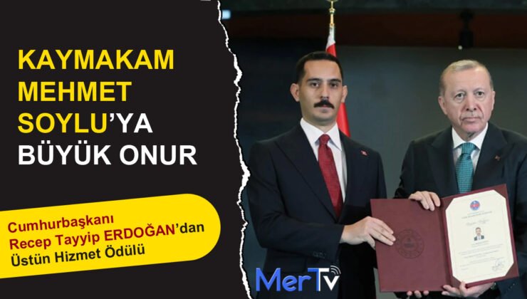Kaymakam Soylu’ya Cumhurbaşkanı Erdoğan’dan Üstün Hizmet Ödülü