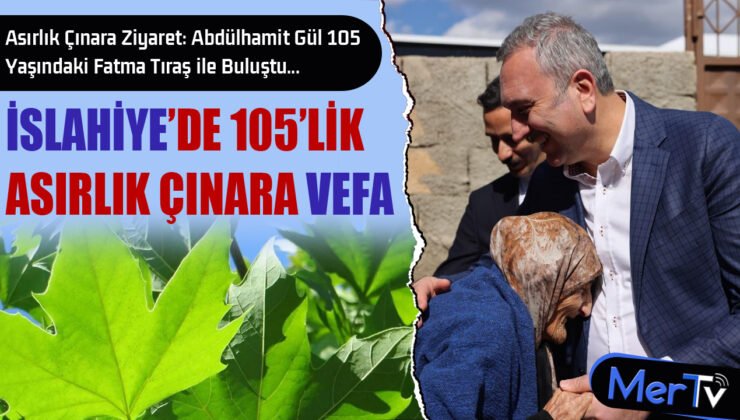 Abdülhamit Gül’den İslahiye’de Asırlık Çınara Vefa Ziyareti