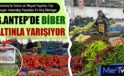 Gaziantep’te Biber Fiyatı Altınla Yarışıyor: Vatandaş Perişan
