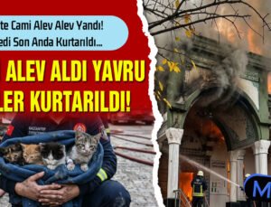 Gaziantep’te Cami Yangını: 4 Yavru Kedi Son Anda Kurtarıldı