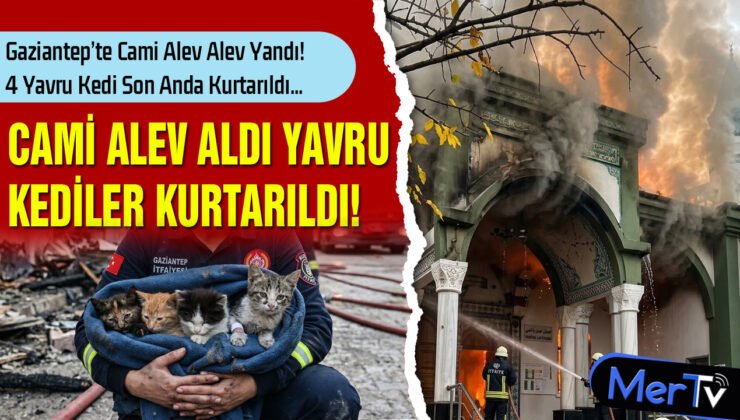 Gaziantep’te Cami Yangını: 4 Yavru Kedi Son Anda Kurtarıldı