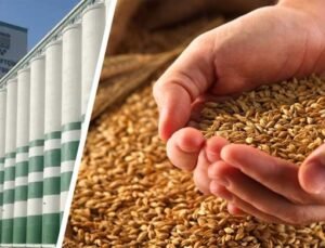 İslahiyeli Üreticilere TMO’dan Arpa Satışı Duyurusu