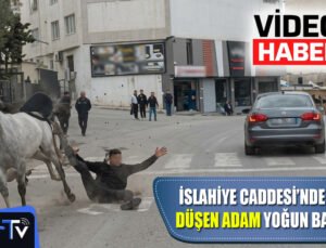 İslahiye Caddesi’nde Attan Düşen Adam Yoğun Bakımda