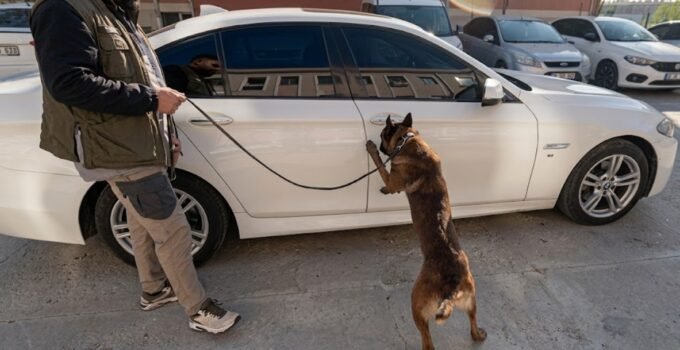 Gaziantep’te Zehir Tacirlerine Geçit Yok: 1 Kişi Tutuklandı