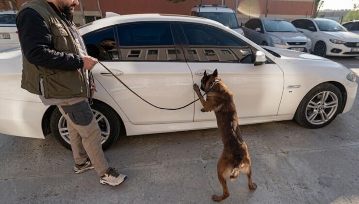 Gaziantep’te Zehir Tacirlerine Geçit Yok: 1 Kişi Tutuklandı