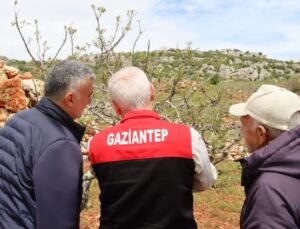 Afet Sonrası Tarımda Hasar Tespit Çalışmaları Başlatıldı