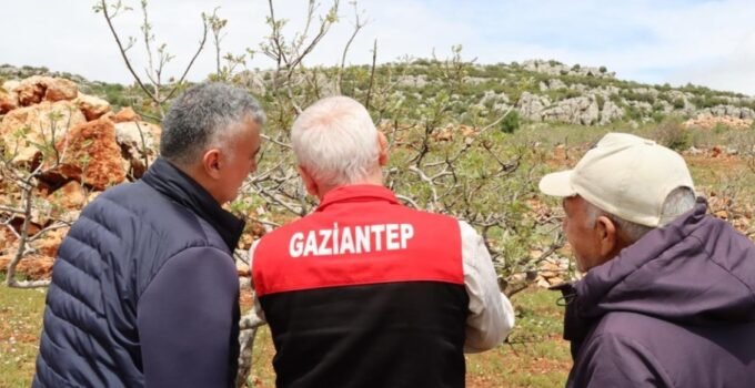 Afet Sonrası Tarımda Hasar Tespit Çalışmaları Başlatıldı
