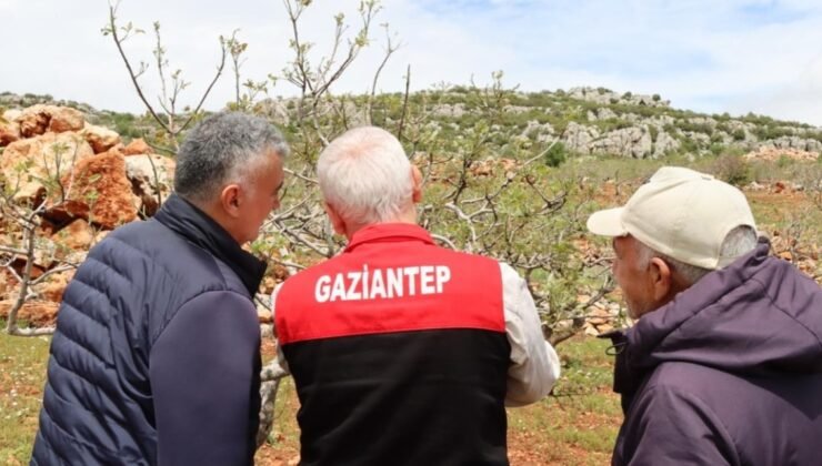 Afet Sonrası Tarımda Hasar Tespit Çalışmaları Başlatıldı