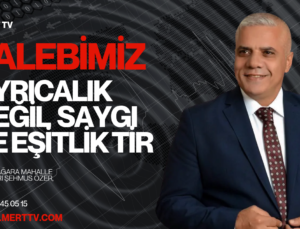 Muhtarlık Makamı Yalnız Değildir