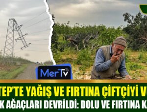 Gaziantep Tarıma Fırtına ve Dolu Darbesi: Çiftçi Destek Bekliyor!