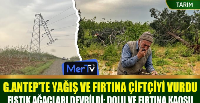 Gaziantep Tarıma Fırtına ve Dolu Darbesi: Çiftçi Destek Bekliyor!