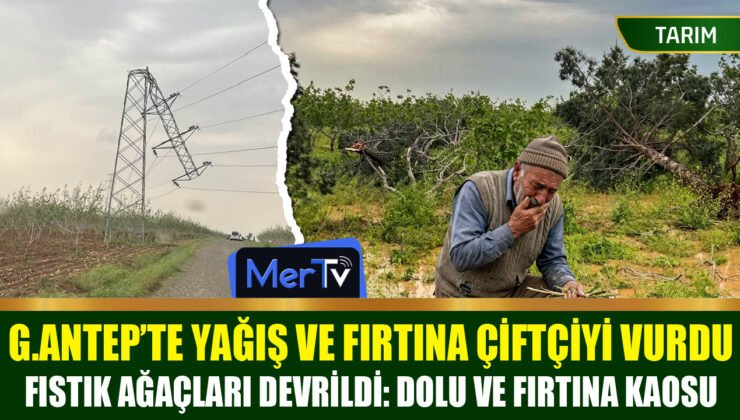 Gaziantep Tarıma Fırtına ve Dolu Darbesi: Çiftçi Destek Bekliyor!