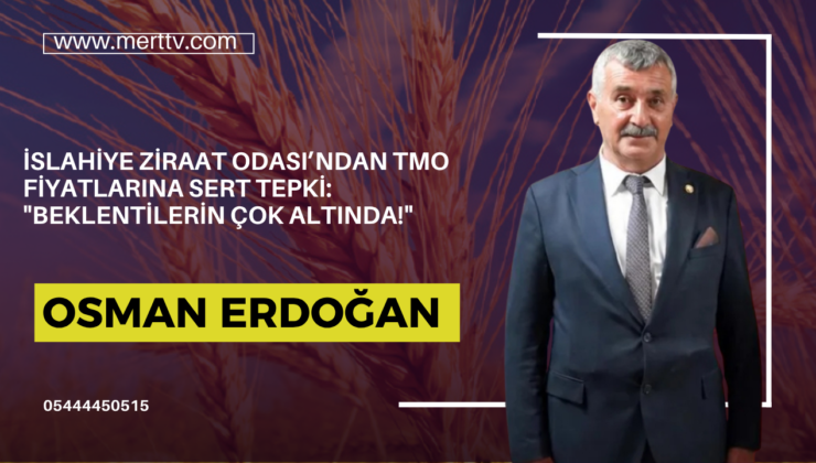 İslahiye Ziraat Odası’ndan TMO Fiyatlarına Sert Tepki: “Beklentilerin Çok Altında!