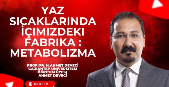 Yaz Sıcaklarında İçimizdeki Fabrika : Metabolizma
