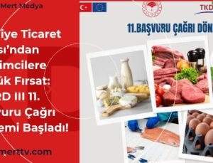 İslahiye Ticaret Odası’ndan Girişimcilere Büyük Fırsat: IPARD III 11. Başvuru Çağrı Dönemi Başladı!