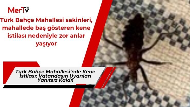 Türk Bahçe Mahallesi’nde Kene İstilası: Vatandaşın Uyarıları Yanıtsız Kaldı