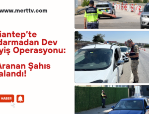25 Aranan Şahıs Yakalandı